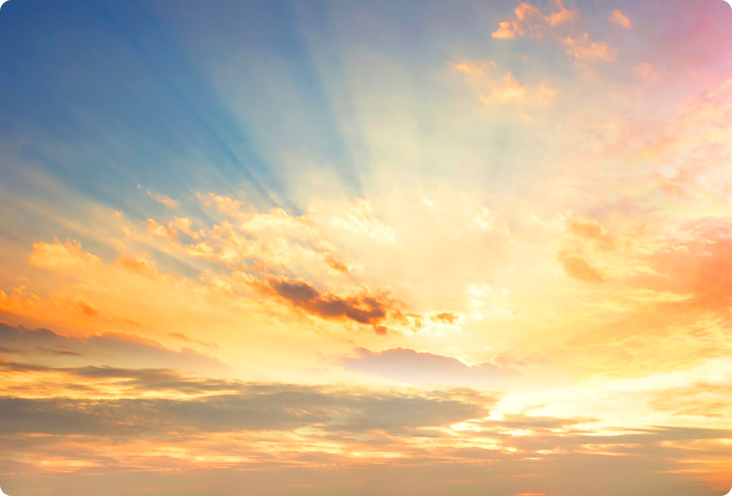 header-3